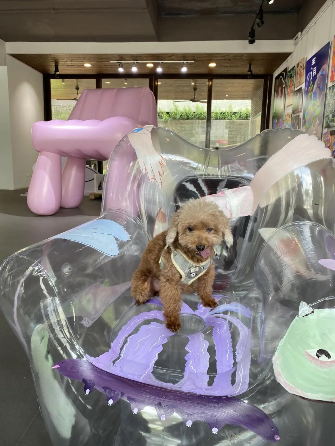 1637046571121160.jpg 微信圖片_20211116150605.jpg